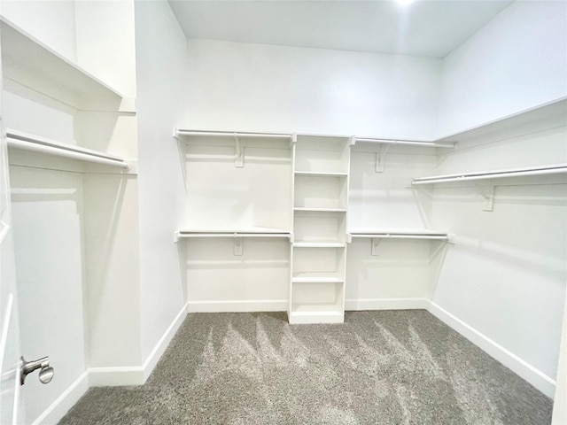1511 W 13th Ave, Corsicana, TX 75110 - walk in closet with carpet flooring