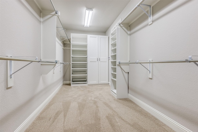 spacious closet featuring light carpet