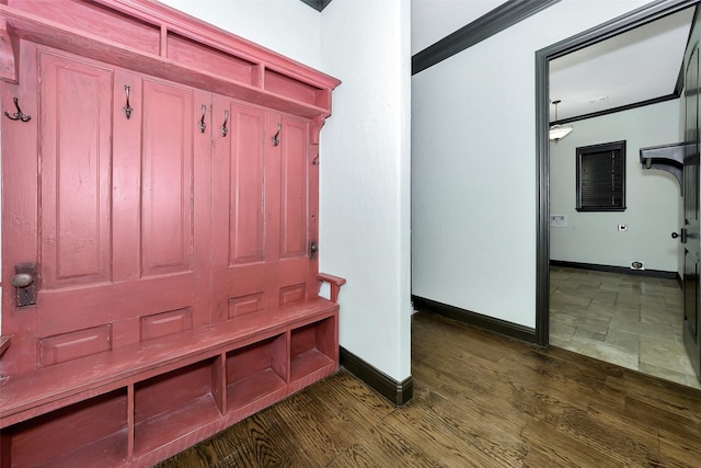 mudroom featuring crown molding and dark hardwood / wood-style floors