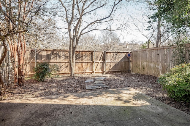 view of yard with a patio area