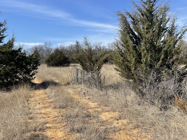 00 Denver Rd, Sunset TX, 76270 land for sale