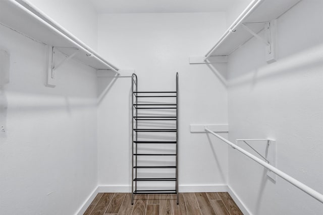 spacious closet featuring wood-type flooring