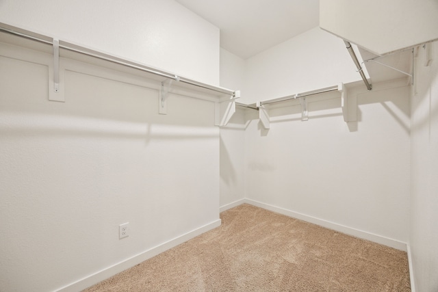 spacious closet featuring carpet