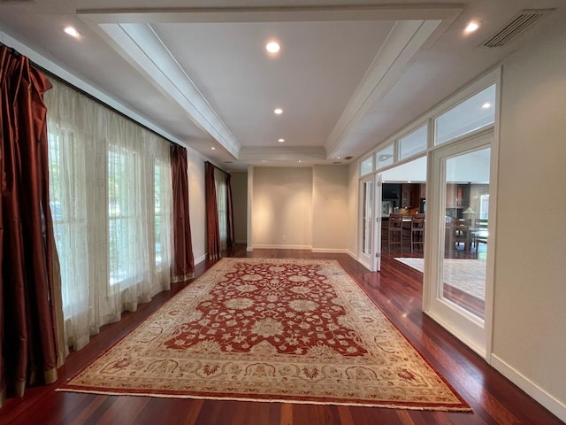 hallway featuring a tray ceiling, plenty of natural light, and dark wood-type flooring