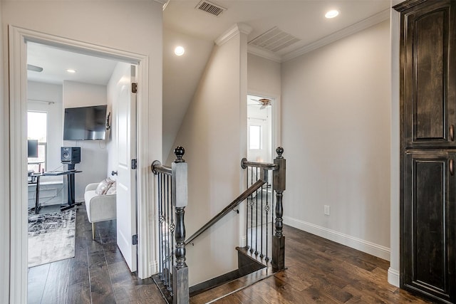 hall with crown molding and dark wood-type flooring