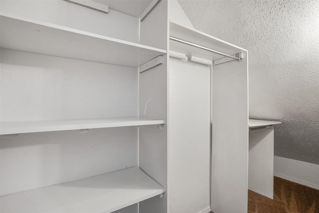 spacious closet featuring dark colored carpet