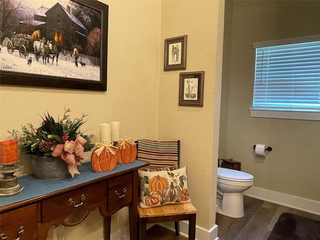 bathroom with wood-type flooring and toilet