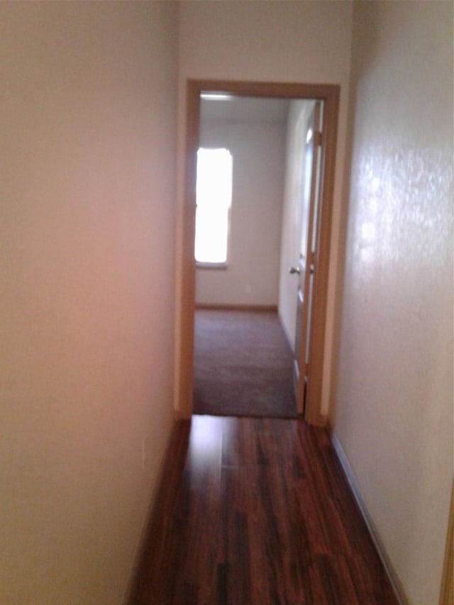 hallway with dark hardwood / wood-style floors