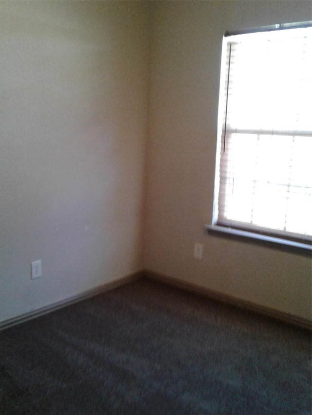 empty room featuring carpet floors