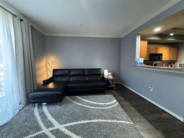 living room featuring crown molding and dark hardwood / wood-style flooring