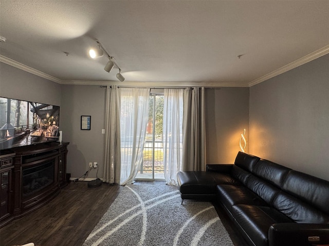 living room featuring hardwood / wood-style flooring, ornamental molding, and rail lighting