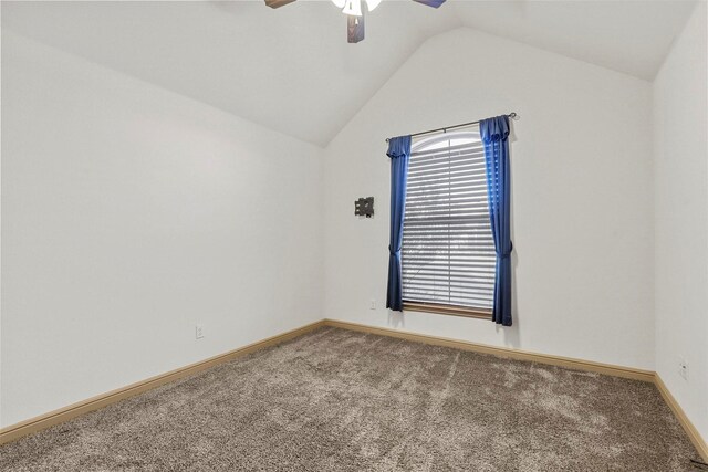 bedroom featuring carpet floors