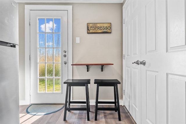 entryway featuring wood-type flooring