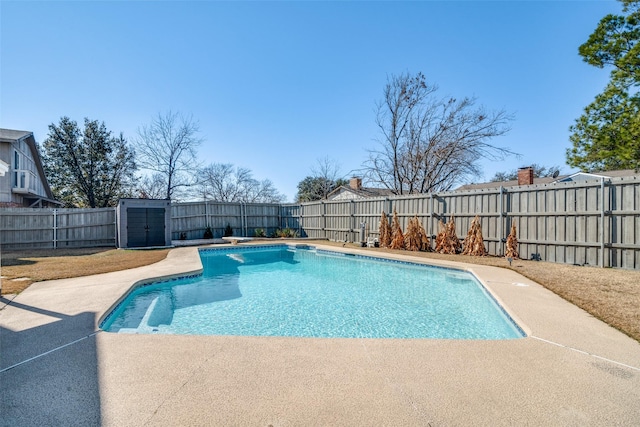 view of swimming pool with a diving board and a storage unit