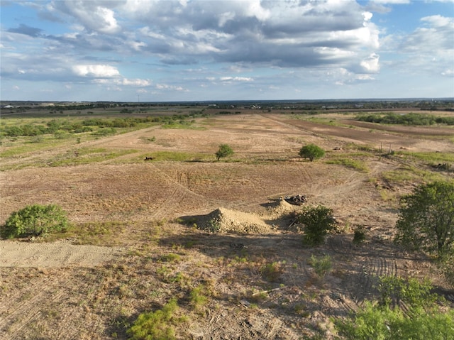 Listing photo 3 for TBD Old Buena Vista Rd, Maypearl TX 75167