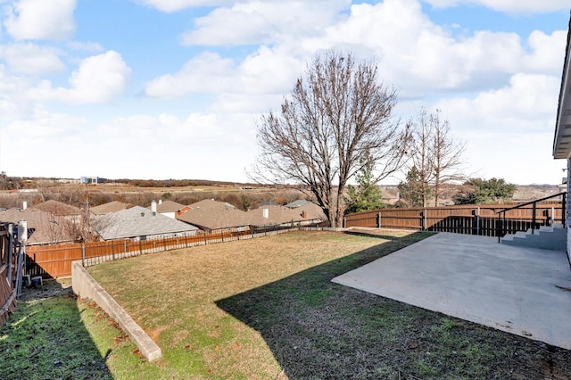 view of yard featuring a patio area