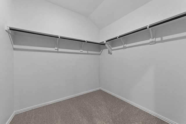 walk in closet featuring carpet floors and vaulted ceiling