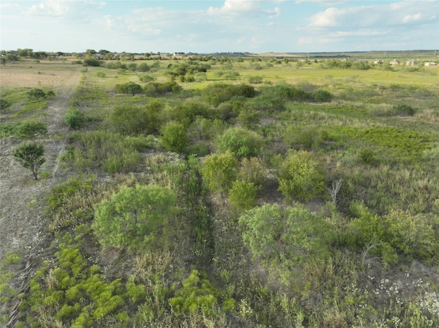 view of local wilderness with a rural view