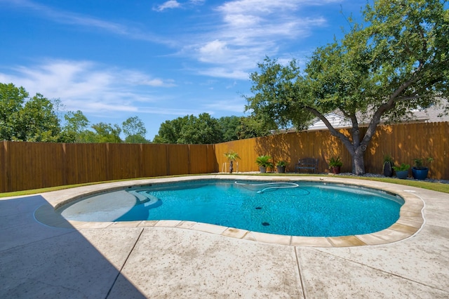 view of pool with a patio area