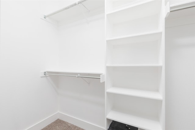 spacious closet with carpet floors