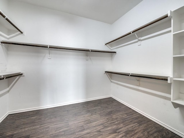 spacious closet featuring wood finished floors