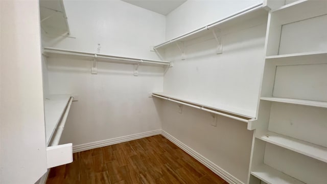 walk in closet featuring dark wood-type flooring