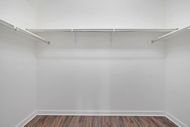 walk in closet featuring dark wood-type flooring