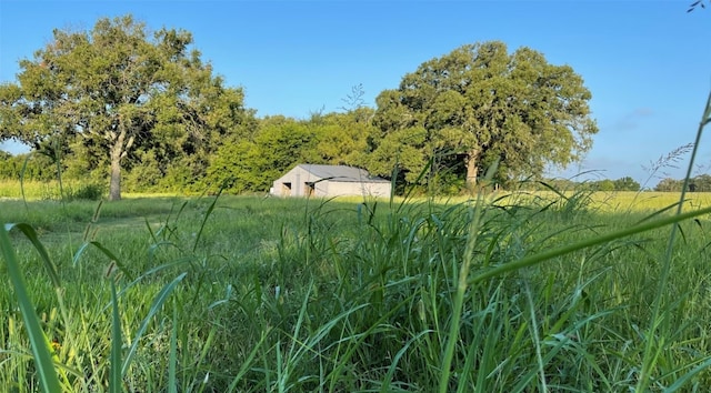 view of yard with a rural view