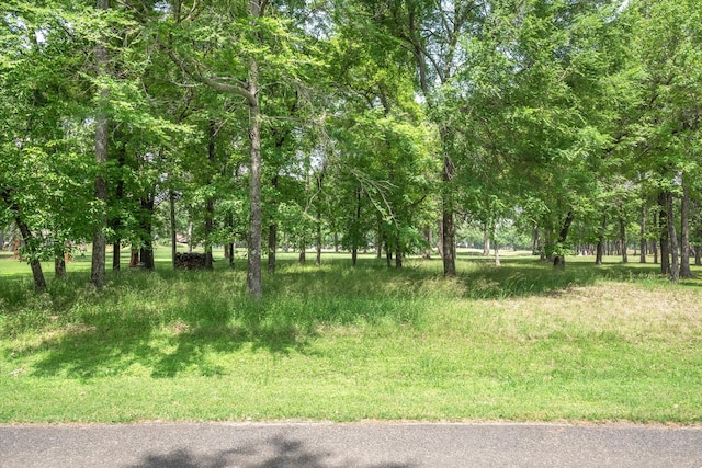 LOT478 Saint Andrews Dr, Mabank TX, 75156 land for sale