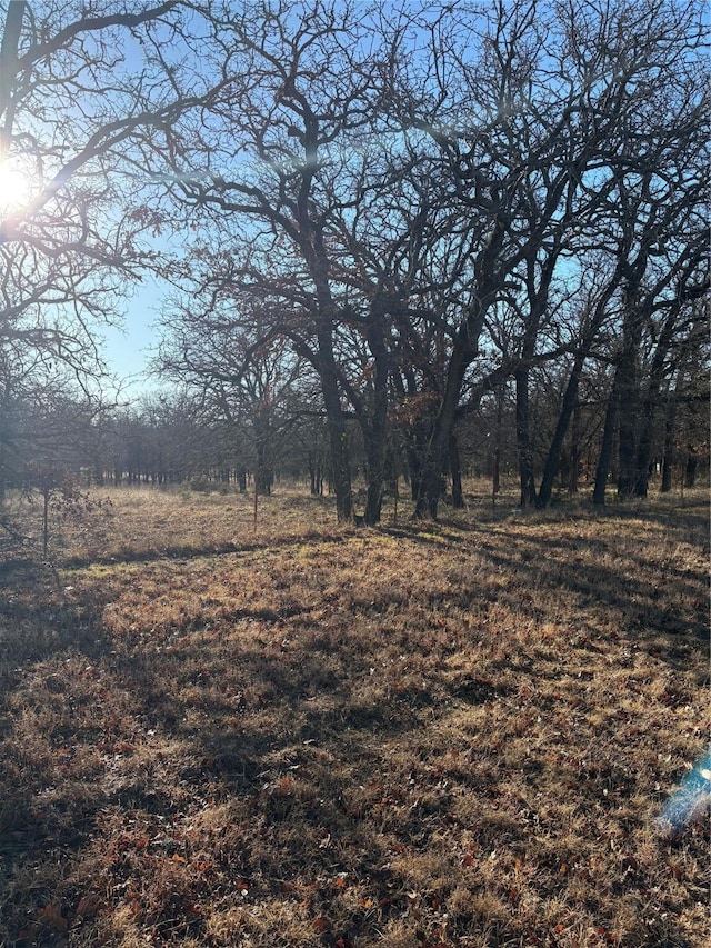 1190 N State Highway 220, Hico TX, 76457 land for sale