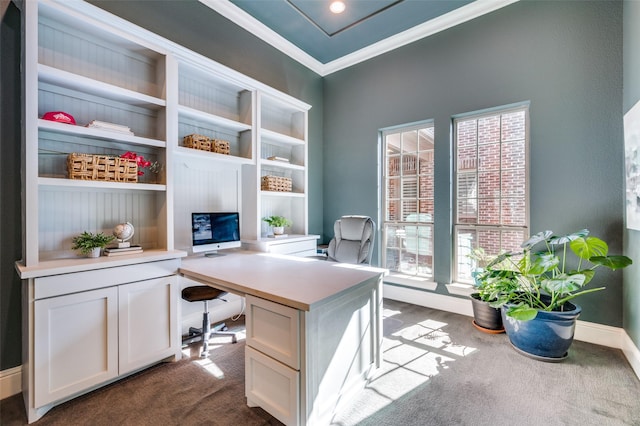 carpeted office space featuring crown molding