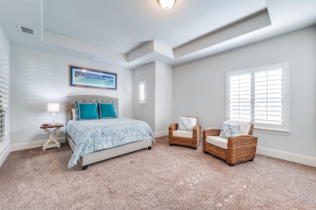 carpeted bedroom featuring a raised ceiling