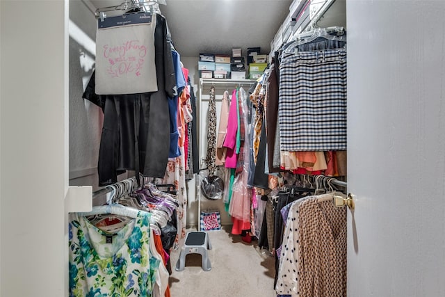 spacious closet featuring carpet floors