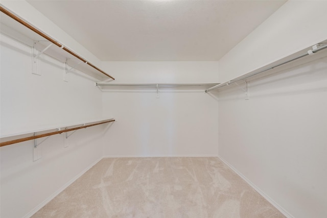 spacious closet with light carpet