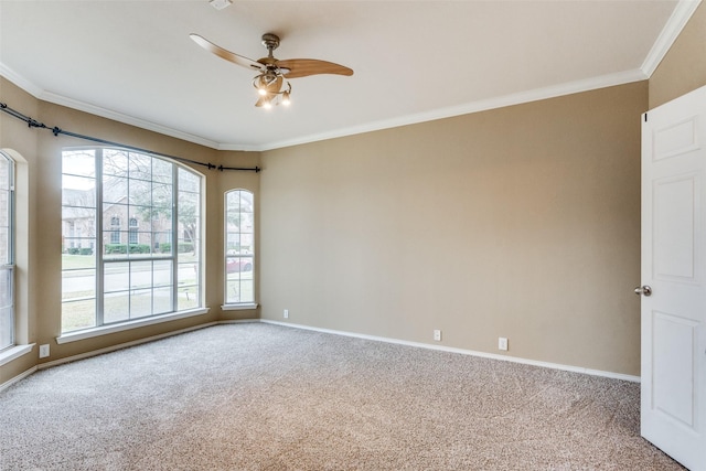 empty room with carpet floors, ornamental molding, and ceiling fan