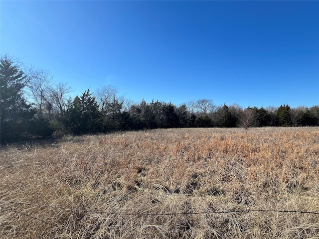 view of local wilderness with a rural view