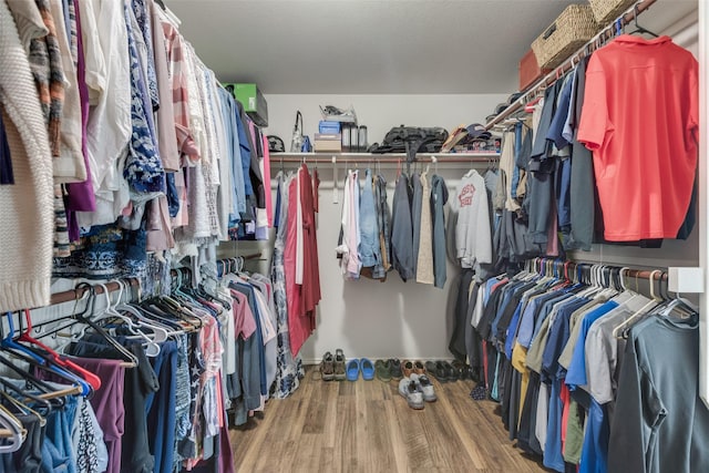 spacious closet with wood-type flooring