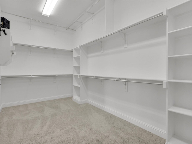 walk in closet with light carpet