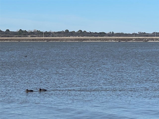 property view of water