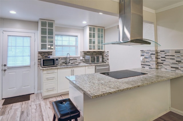 kitchen with appliances with stainless steel finishes, island range hood, sink, white cabinets, and light stone countertops