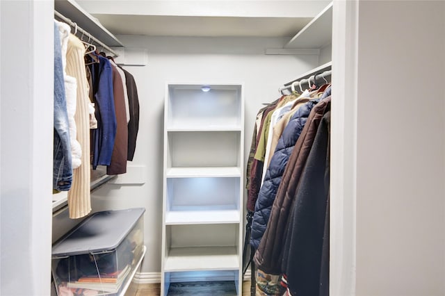 spacious closet with hardwood / wood-style floors