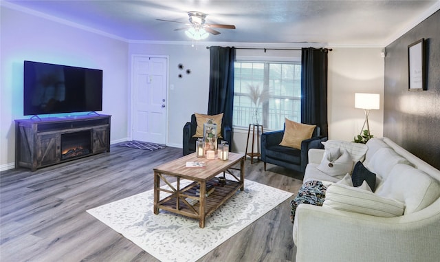 living room with crown molding, hardwood / wood-style floors, and ceiling fan