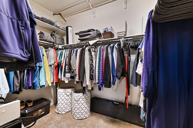 spacious closet with carpet