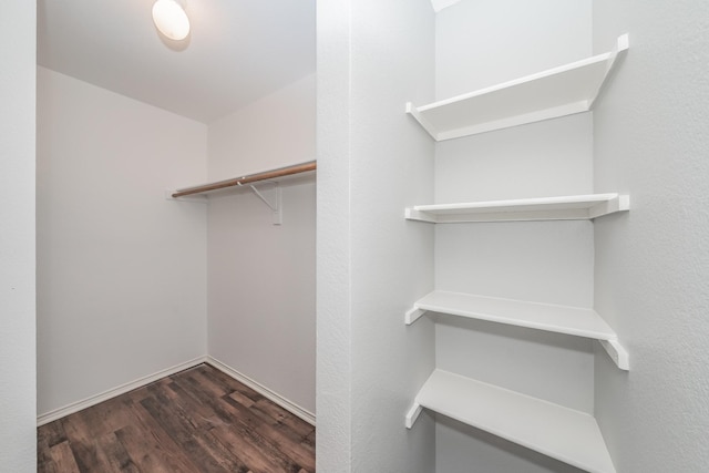 walk in closet with dark hardwood / wood-style floors