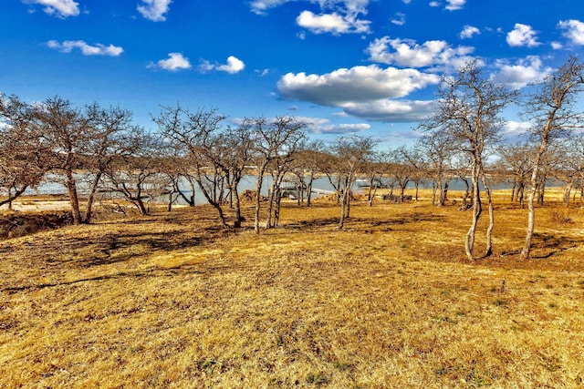 view of yard featuring a water view and a rural view