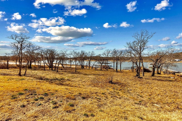 view of yard with a water view