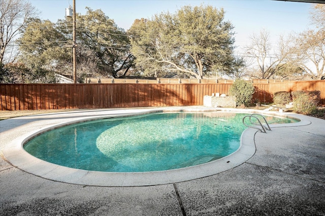 view of swimming pool with a diving board and a patio