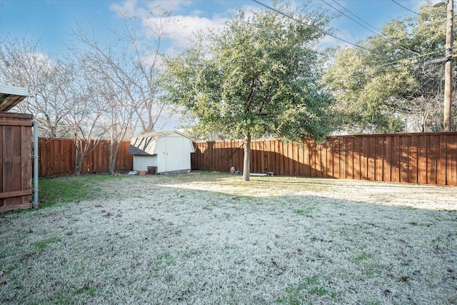 view of yard featuring a shed