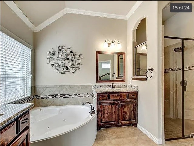 bathroom with vanity, vaulted ceiling, ornamental molding, and plus walk in shower