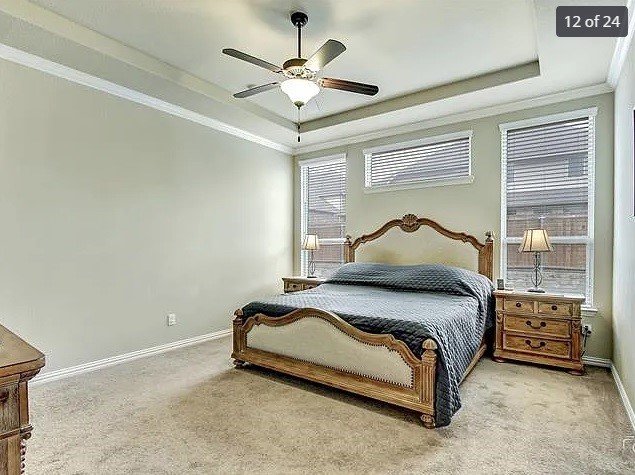 carpeted bedroom featuring crown molding, a raised ceiling, and ceiling fan